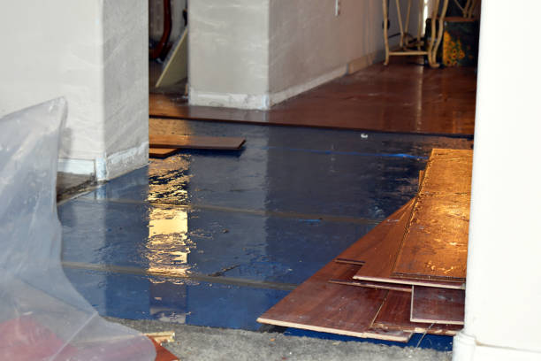 Professional Flood Cleanup technician working in Harvard, IL